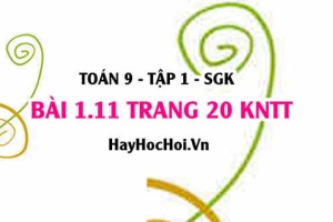 Bài 1.11 trang 20 Toán 9 tập 1 Kết nối tri thức SGK